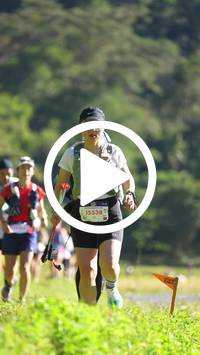 BIB:  <button type="button" onclick="openModal(26577317)" class="btn btn-primary btn-sm float-right" data-toggle="modal" data-target=".modal-high-quality">
                <i class="fa fa-download"></i> Download
                </button>